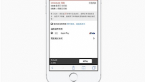 苹果告知开发者：网页版Apple Pay来到中国