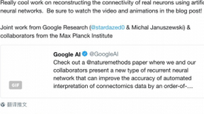 Google AI提新型神经网络，对神经元进行高精度自动重建