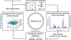 探索新型化学反应的AI机器人诞生！有望加速药物发现