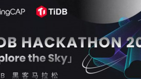 参加过4届TiDB Hackathon是种什么体验？|TiDB Hackathon选手访谈