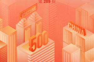 传音控股连续五年上榜《财富》中国500强，ROE排名第13位