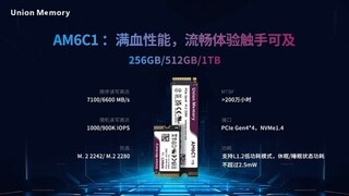 AI PC催生存储新需求 忆联发布消费级固态硬盘AM6C1