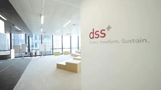 dss+谢荣军：咨询公司需要从提供建议转变到建议的实施和落地