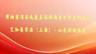 合作打造行业新典范——艾伽盾实业与山东润柏合作签约仪式圆满举行